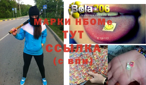 шишки Переславль-Залесский