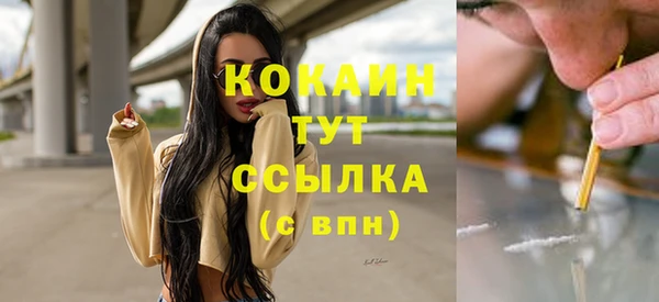 шишки Переславль-Залесский