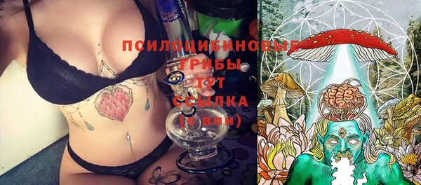 молекула духа Пересвет
