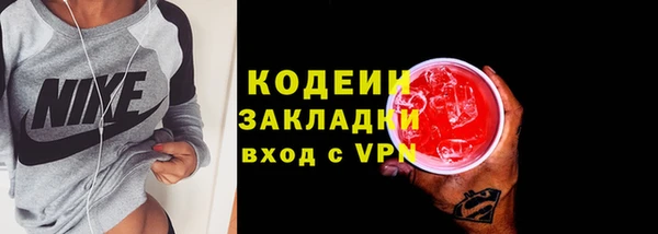 молекула духа Пересвет