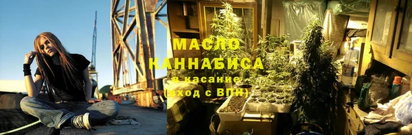 молекула духа Пересвет