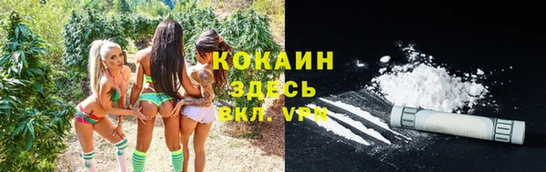 скорость Пестово