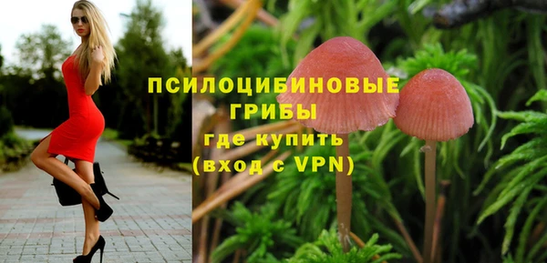 скорость Пестово
