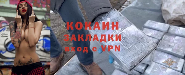 молекула духа Пересвет