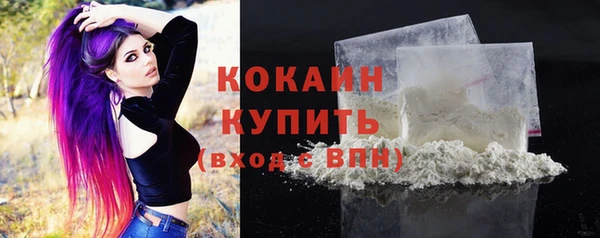 шишки Переславль-Залесский